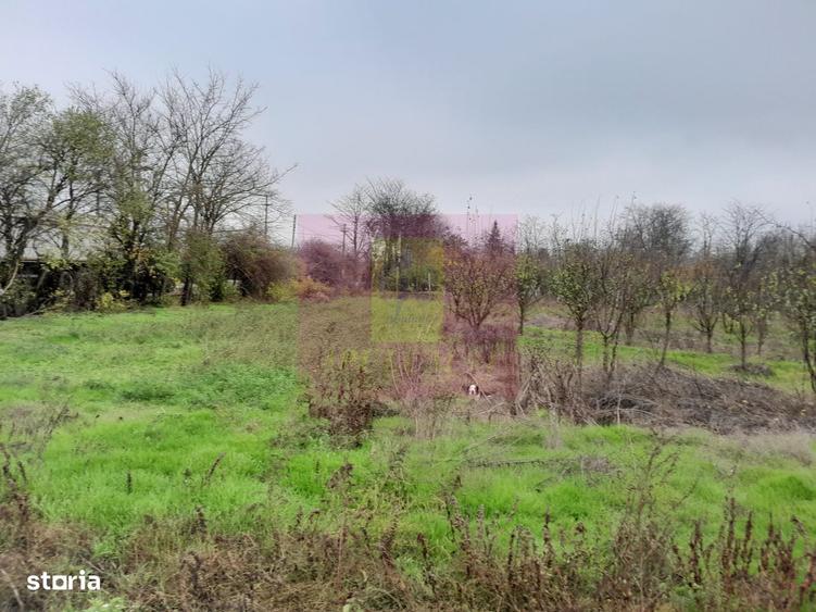 Casă cu 3 camere cu Canalizare în Bărcănești