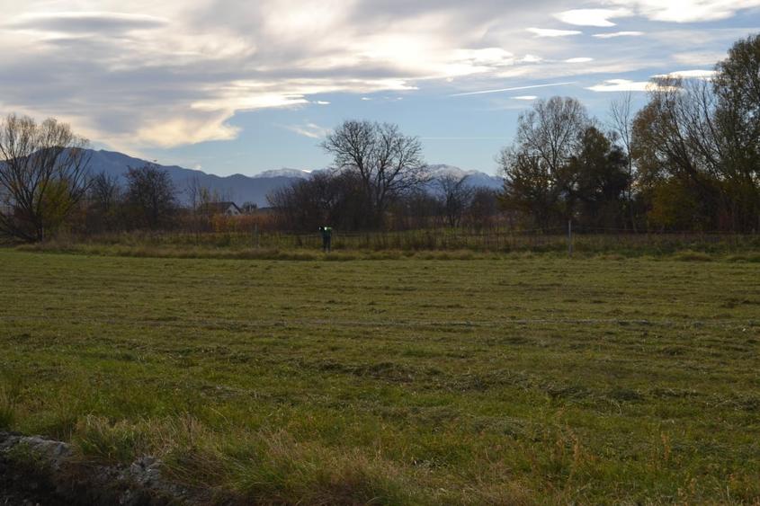 Casa single 4 camere, 110 MP + 500mp teren Stupini - 18