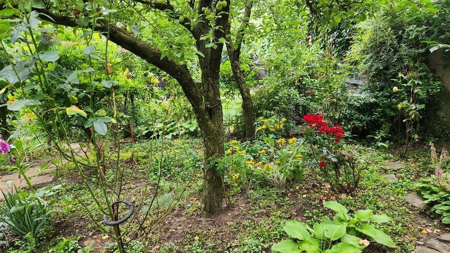 Vila Julie Ultracentral Suceava De Vanzare 0727817187 - 9