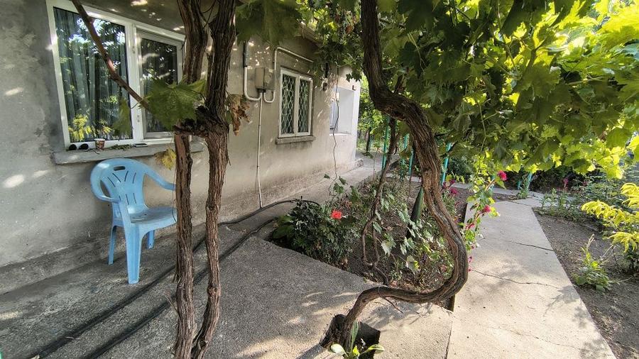 Casa de Vanzare 1265 M2 Cobadin - 4