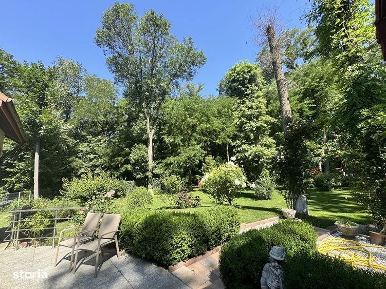 Vila 7 camere cu iesire in padure gata de mutare - 14