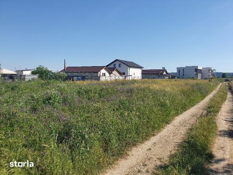 Teren de vanzare in Catargiu - 6