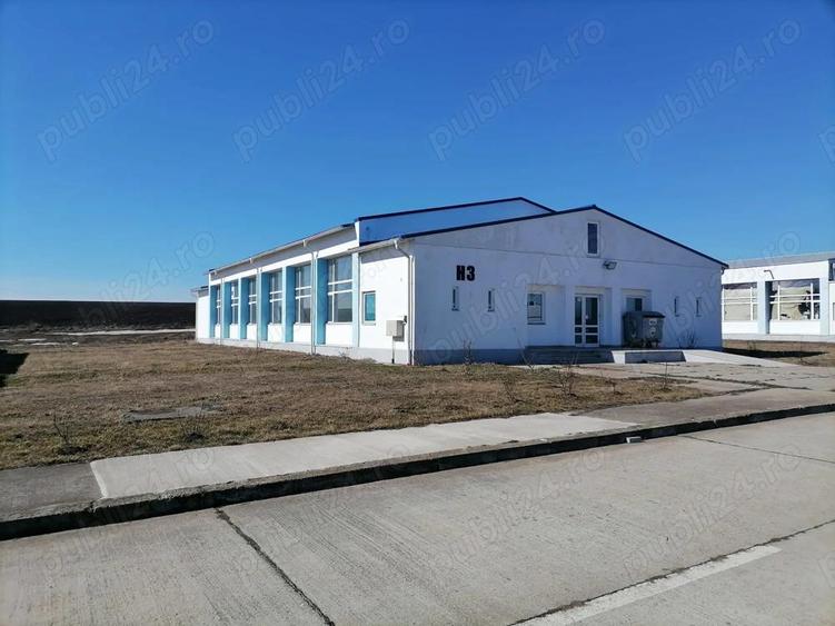 Hala industriala, de inchiriat - 4