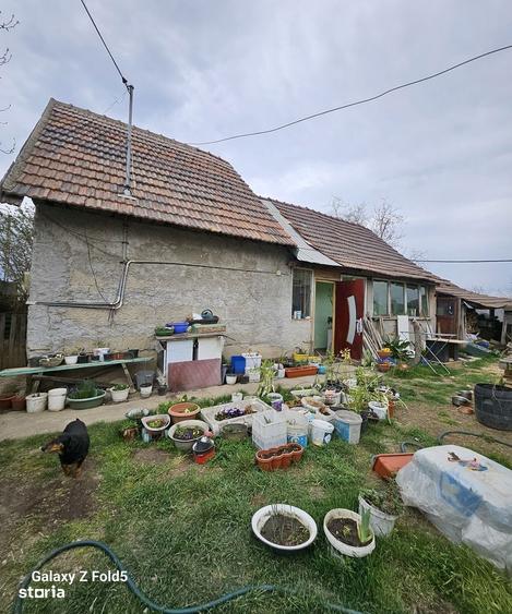 Casa de vanzare cu teren generos 1439 mp Episcopia Bihor - 2