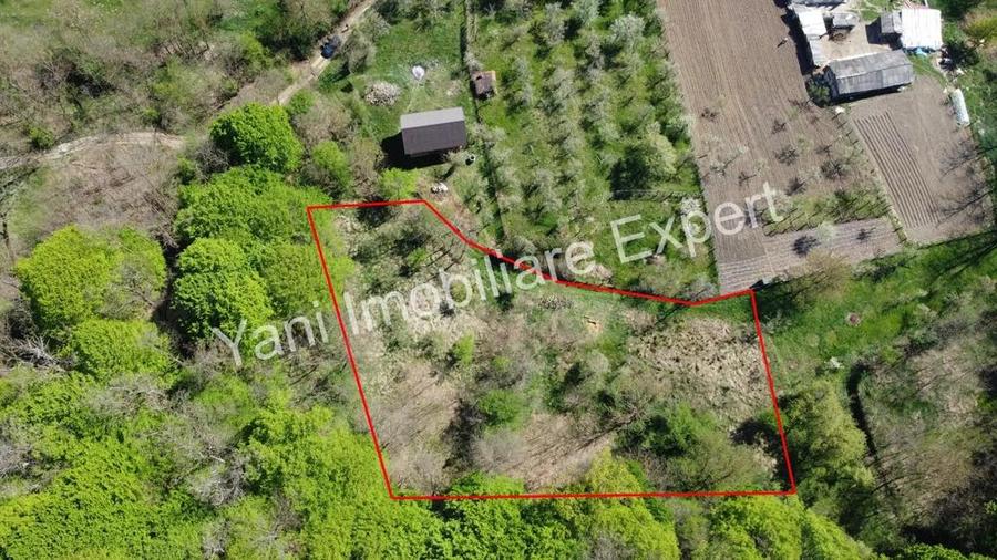 Teren de vanzare in Baicule?ti, Judet Arge?. - 1