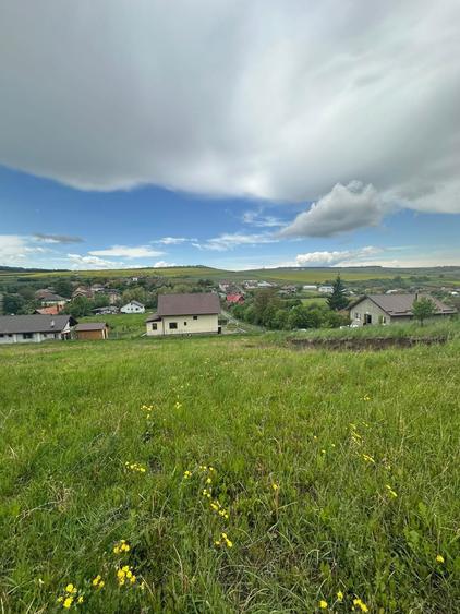 Teren de vanzare - 6