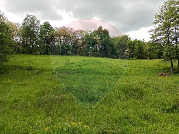 Vânzare casa la munte - zona turistica - Baia de Fier - 27