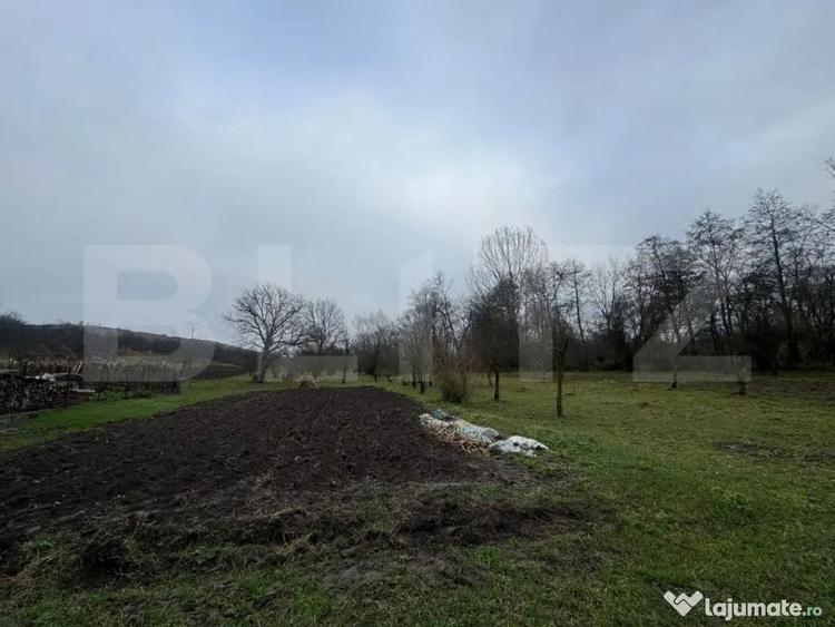 Casa cu 2 camere in Densus, 20 km de Manastirea Prinslop - 8