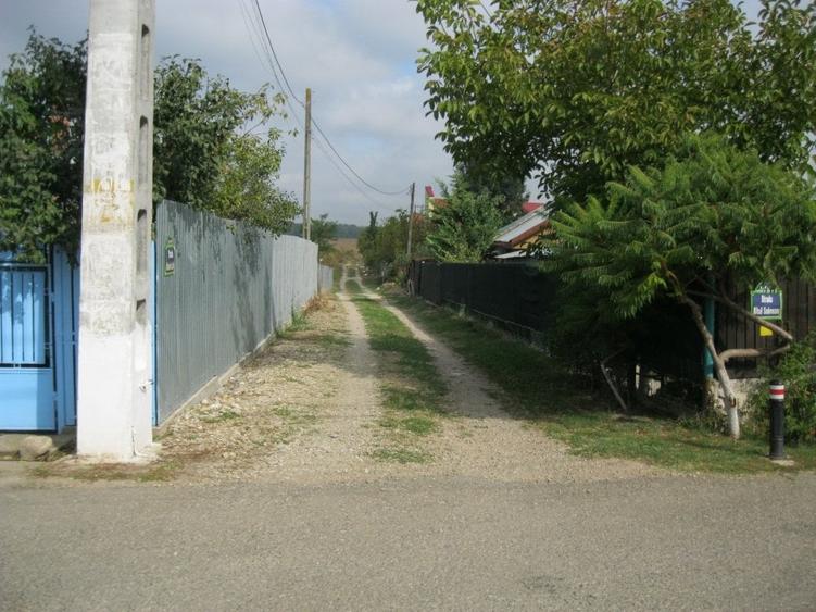 Proprietar,VandTeren10100mpDes43Utilitati150m*INVESTITIE PROIECT CASE*INTRAVILAN - 2