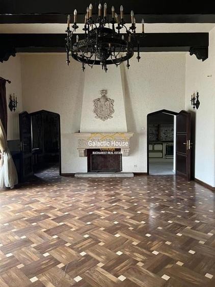 Vila 20 camere Dorobanti || Guvern || Gradina - 10