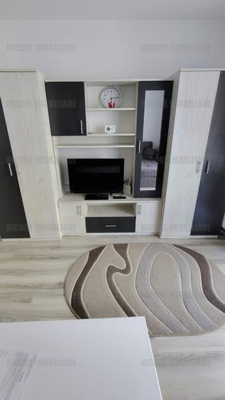 Apartament 1 camera - complet mobilat si utilat - decomandat - etaj 1 - 300 euro - 1