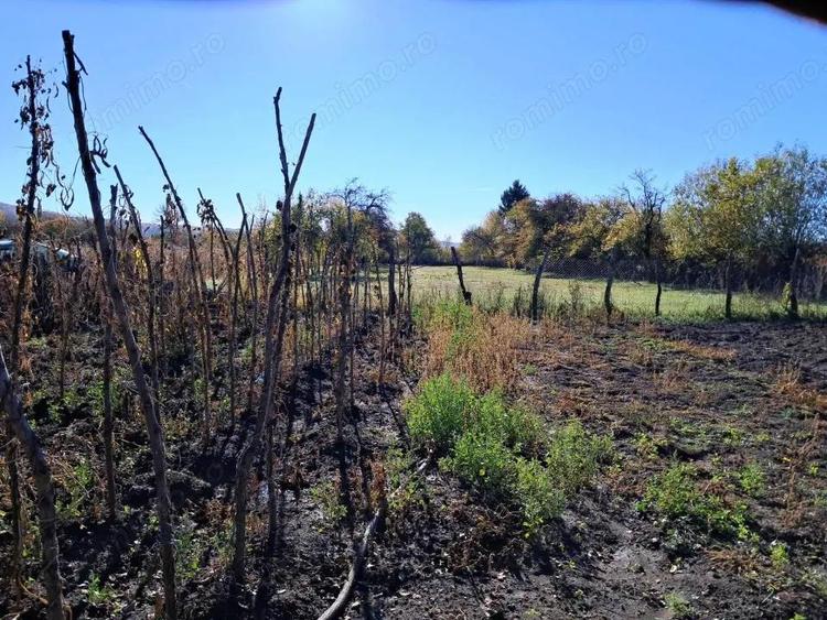 TEREN INTRAVILAN ?I EXTRAVILAN POLOVRAGI-RACOVI?A - 3