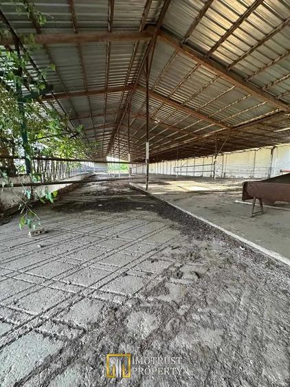 Teren 9.508 mp cu 2 fronturi stradale Sofronea, Arad - 2