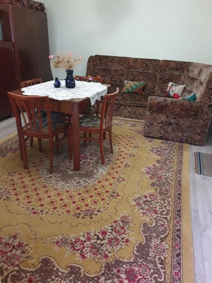 Casa Faget Timis - 4