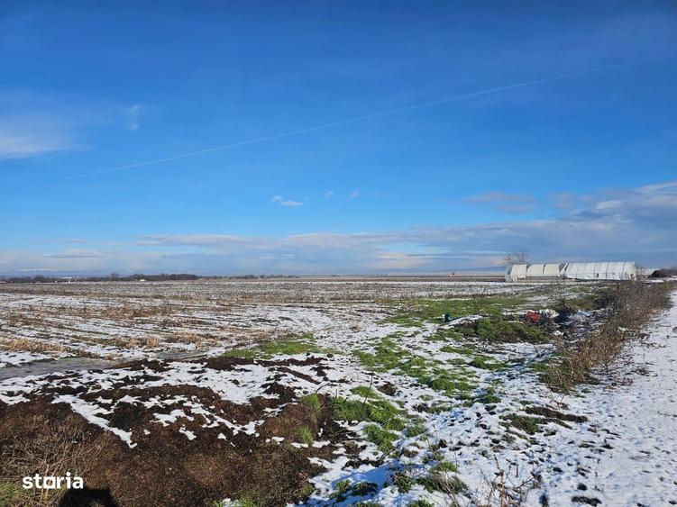 Ideal pentru investitie - 2