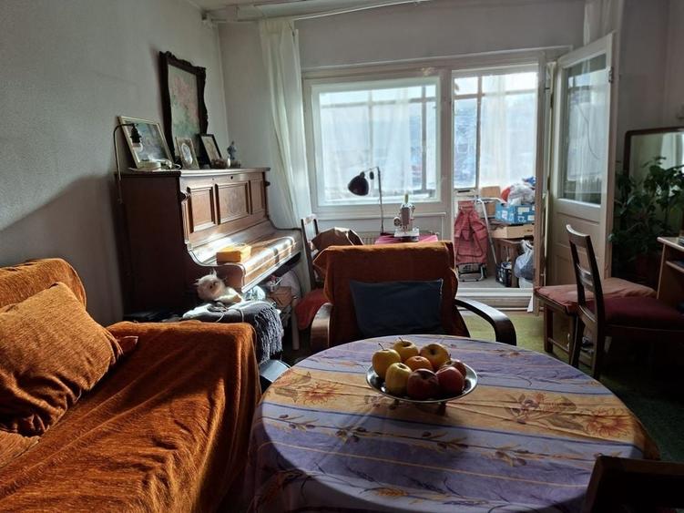 Apartament decomandat cu 2 camere/Titulescu - 3