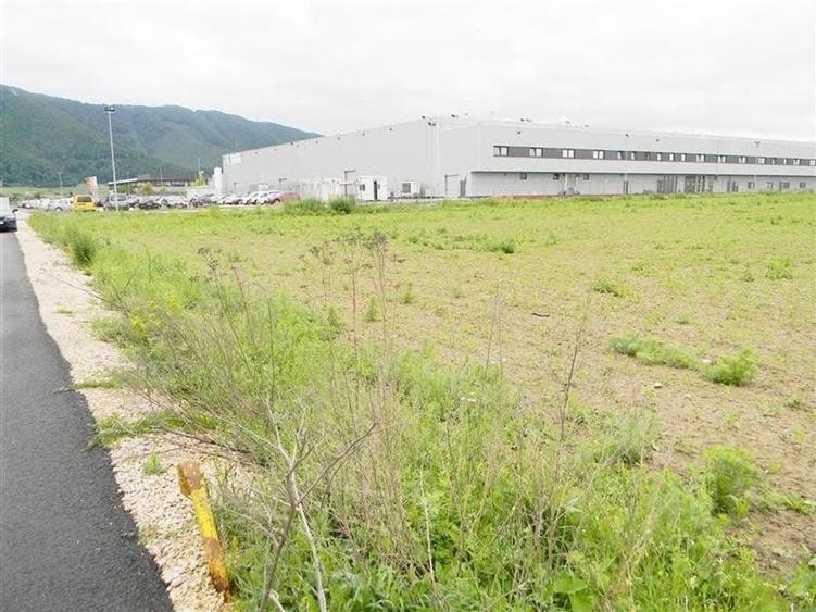 Teren pentru hale-Ghimbav-Joysonquin - 1