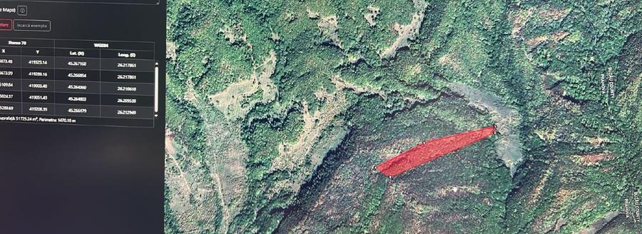 Padure fag 5 hectare (peste 100 de ani), Prahova, Posesti - 1