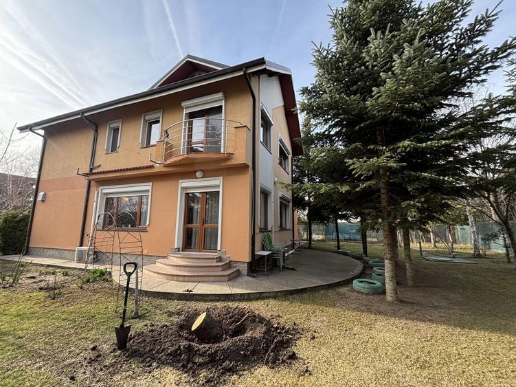 Vila de vanzare Snagov 100m de padure - 4