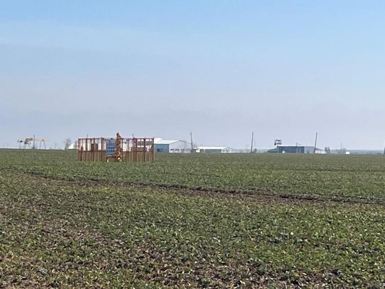 Teren intravilan, 5000 mp, zona Peugeot - 1