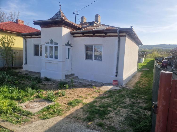 Casa si teren in orasul Harlau - 2