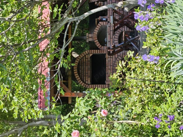 Clisura Dunarii Pensiune Casa cu Smochini - 2