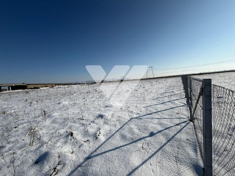 Teren agricol 4200 mp pretabil investitie imprejmuit ,Calea surii mici - 7