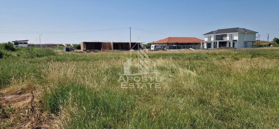 Parcela 707 mp in Sacalaz langa cartierul Primaverii - 3