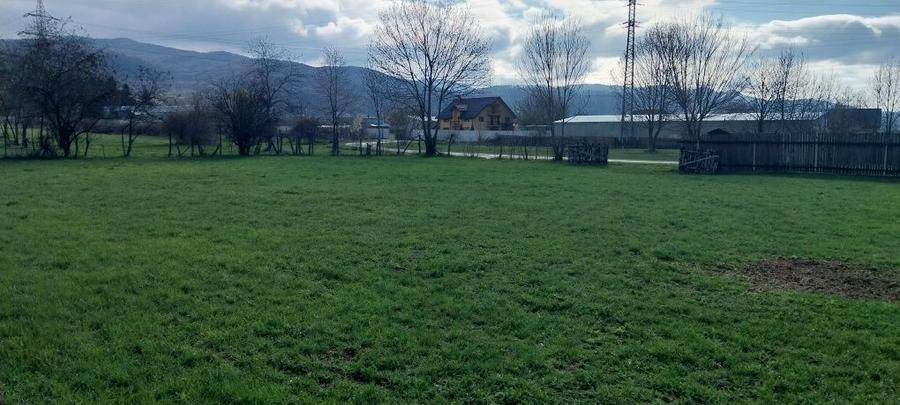 Teren de vanzare - 5