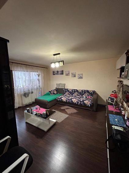 GARSONIERA DECOMANDATA - DEZROBIRII // INEL I - 1