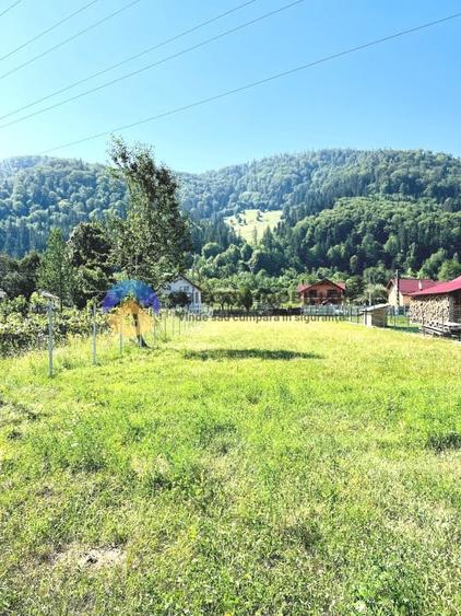 TEREN intravilan 3600 mp  PÂNGǍRAȚI - PRELUCA - 3