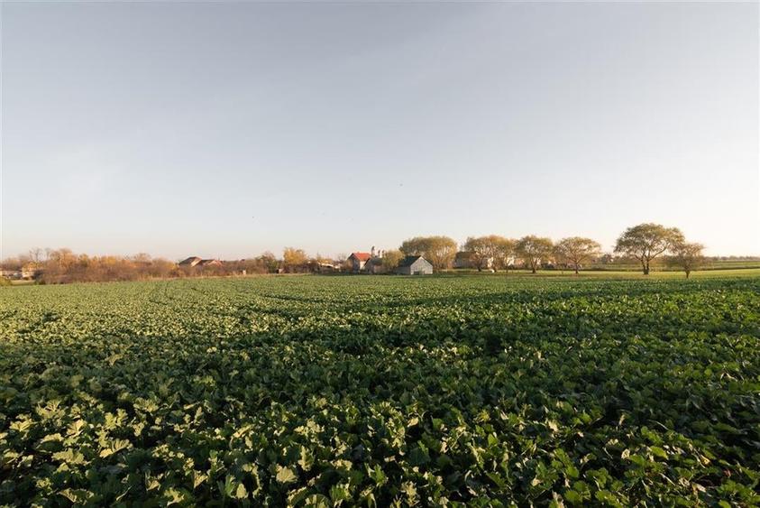 RECO casa Inand la rosu cu teren imens - 23