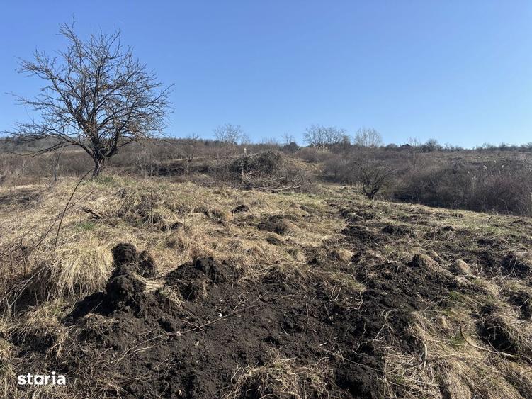 Teren Pomet/3 km Auchan - 2