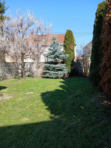 BRASADAS vinde casa cu 4 cam teren 360mp zona ULTRACENTRALA. - 7