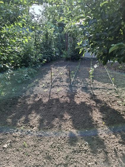 Casa de vanzare municipiul Oltenita judet Calarasi - 13