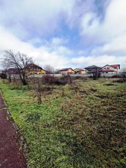 Buftea-Independentei - 5