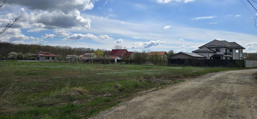 Snagov Ciofliceni Padure - 2