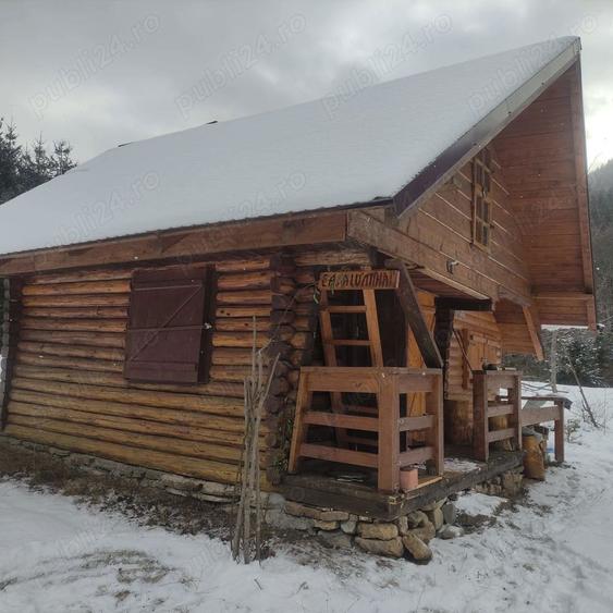 Teren intravilan 9.172 m2 + cabana 30m2 Loc Pintic Paltinu Com. Grinties - 7
