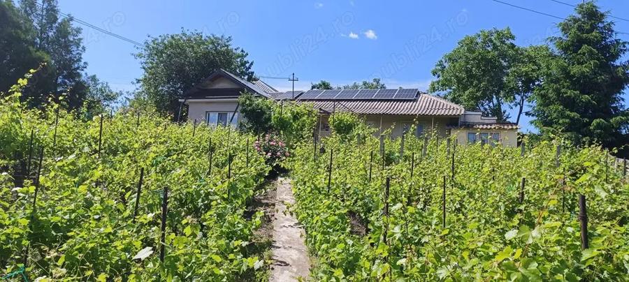 Casa de vannzare - 2