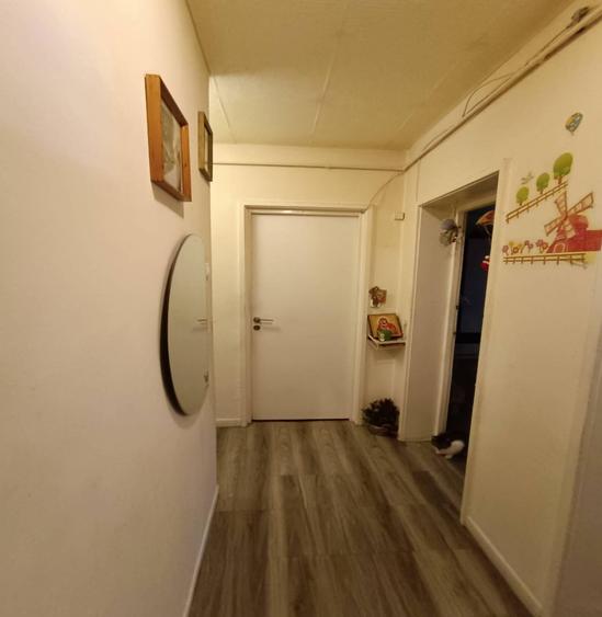 Apartament 3 camere, de vanzare, Gheorgheni, zona Iulius- Mall - 4