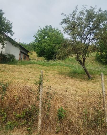 Terenuri in ora?ul ?tefane?ti, jude? Arge?, 3113mp - 2