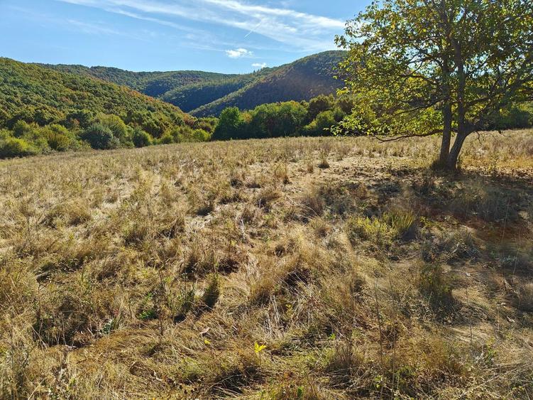 Vand teren extravilan pasune 3,54 ha - 6