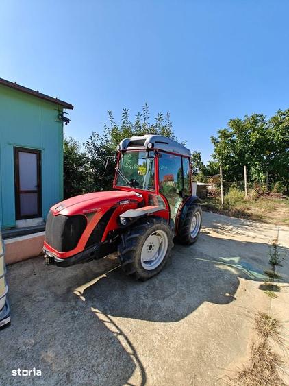 Podgorie cu hala Cotnari - Dealul Catalina - 4