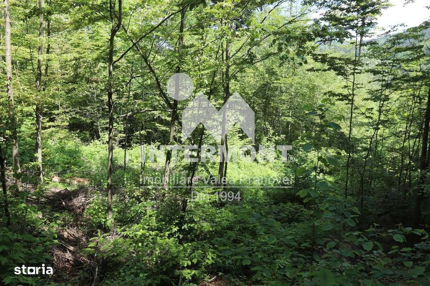 Teren Sinaia Zona Centrala, 500mp, Vedere Montana, Toate Utilita?ile - 3