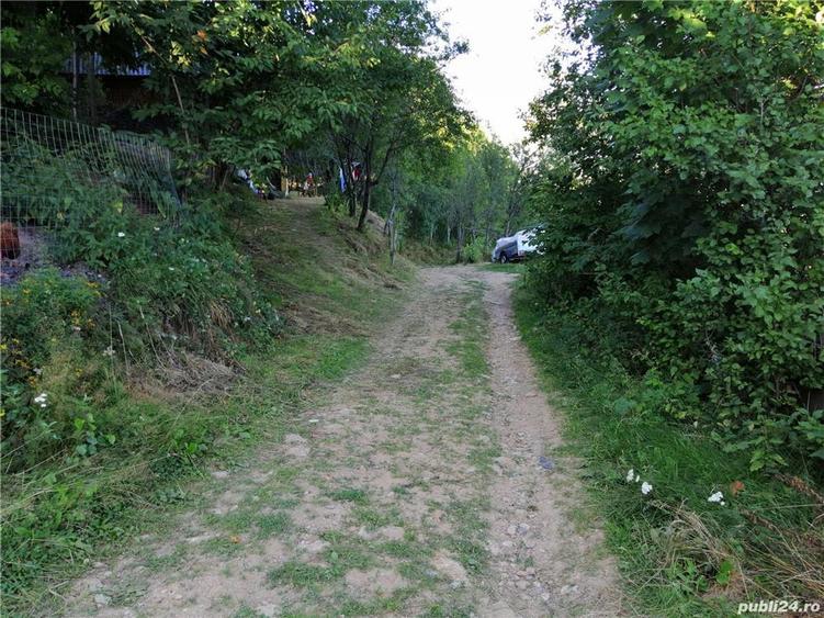 Vand casa de vacan?a in Mun?ii Apuseni - 5