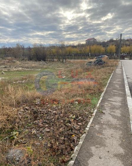 ID 7743 Teren INTRAVILAN pe E87 - ISACCEA - 4