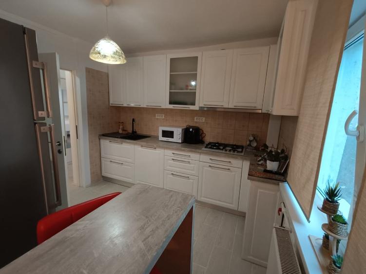 Închiriere apartament 2 camere Parc Sebastian  - 12