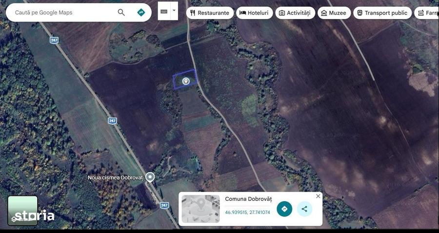 Teren 4.000mp Bucium-Dobrovat - 1