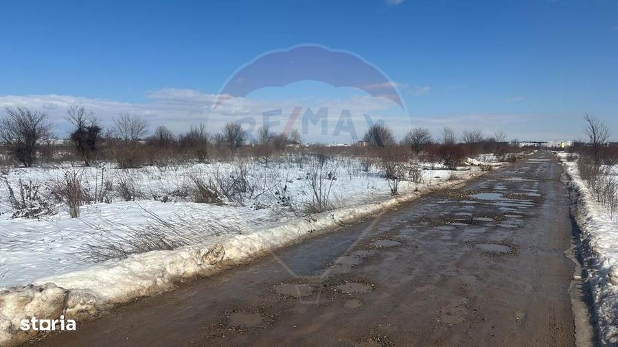 Teren 9,000mp Buftea / Strada Randunelelor - 6