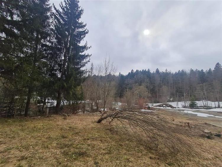 Incadrata de 4.200mp teren, Vila cu potential turistic, in inima Predealului - 26